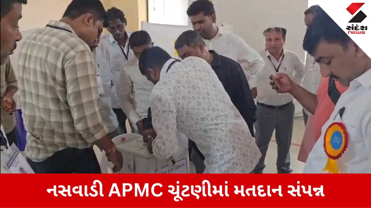 Chhotaudepur News: નસવાડી APMC ચૂંટણી, 97 ટકા જેવું રેકોર્ડબ્રેક મતદાન, 10 સપ્ટેમ્બર મતગણતરી