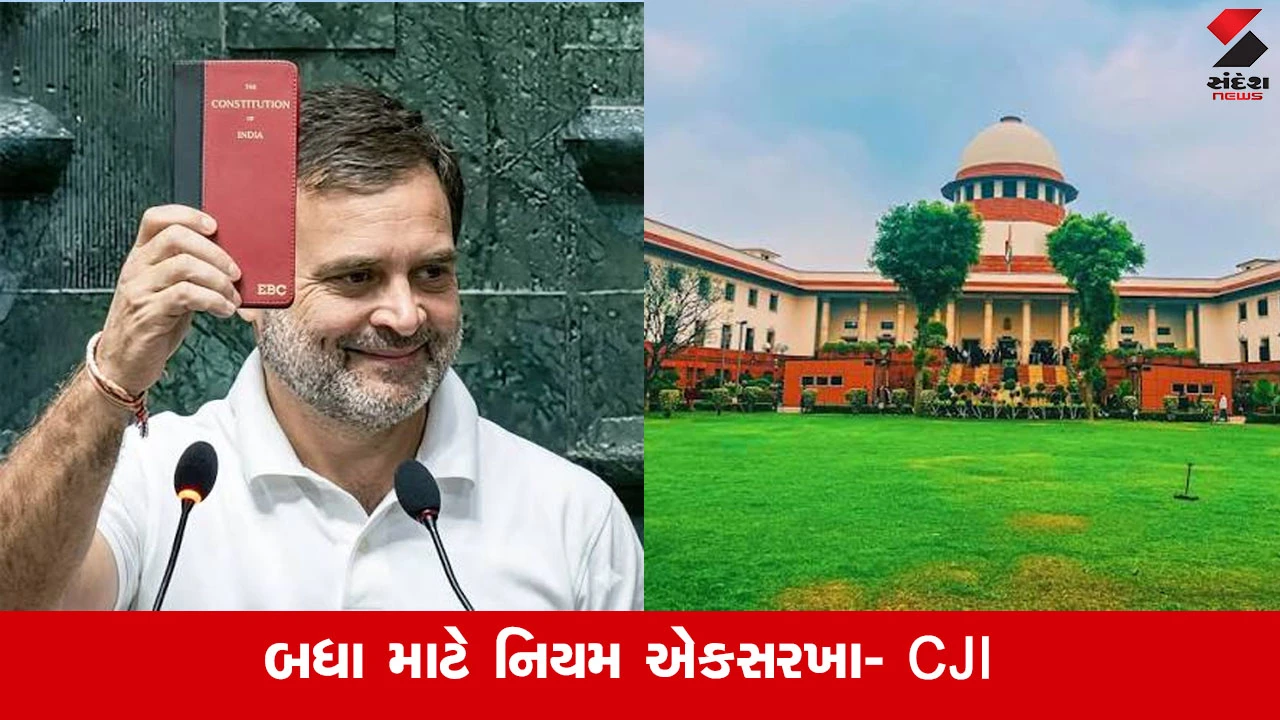 'રાહુલ ગાંધી VVIP નથી' સુપ્રીમ કોર્ટમાં દલીલ, 'બધા માટે નિયમ સરખા' CJIએ કરી સ્પષ્ટતા