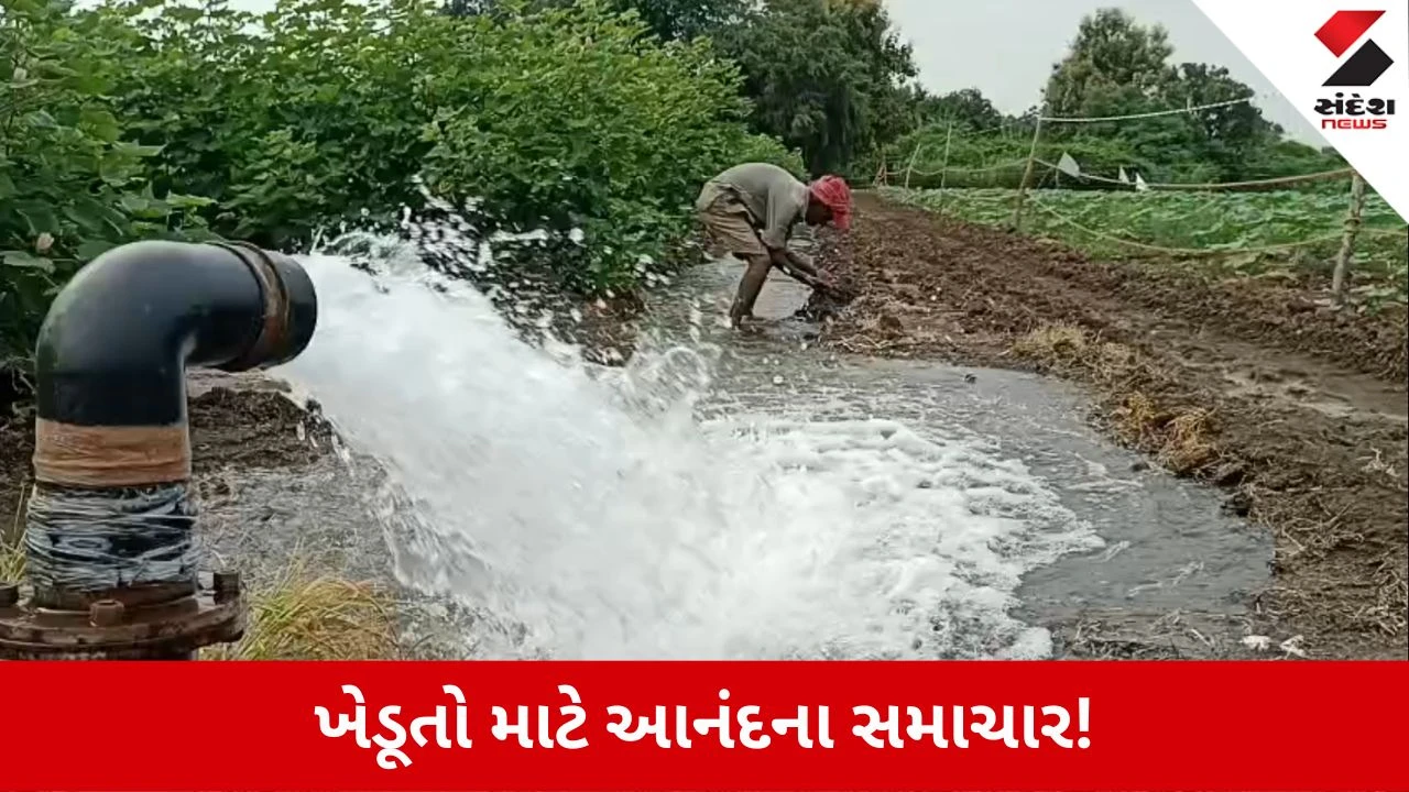 Vadodara News: વરસાદની અછત વચ્ચે ખેડૂતો માટે મોટા સમાચાર, હવે 10 કલાક મળશે વીજળી!
