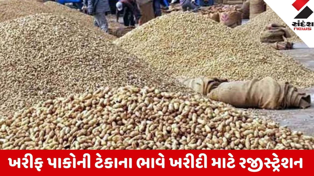 Gandhinagar: રાજ્યમાં વરસાદની ભારે ખેંચ વચ્ચે ટેકાના ભાવે ખરીદીનું રજીસ્ટ્રેશન શરૂ, VCE મારફતે 30 દિવસ નોંધણી કરાવી શકશે