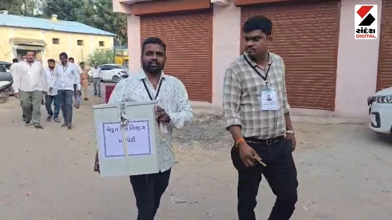 Chhotaudepur News: Naswadi APMC Election: 97 Percent High Voter Turnout Recorded