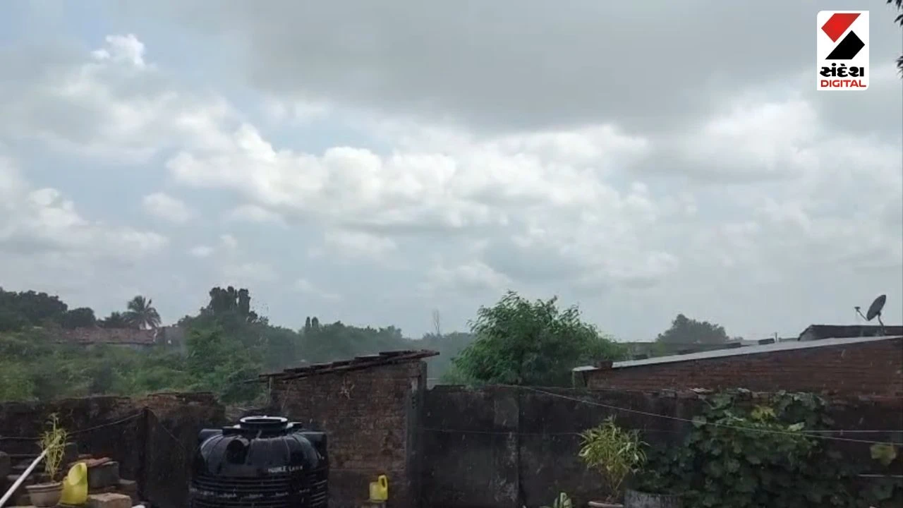 Amreli News: Sudden Weather Change in Savarkundla & Jafrabad, rain in amreli