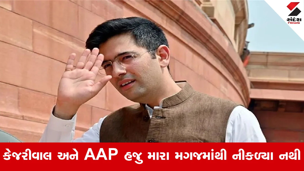 India News : ‘AAP મારી Ex છે, હજુ પીછો છોડતી નથી’! રાઘવ ચઢ્ઢાએ જૂની પાર્ટી પર કર્યો કટાક્ષ...
