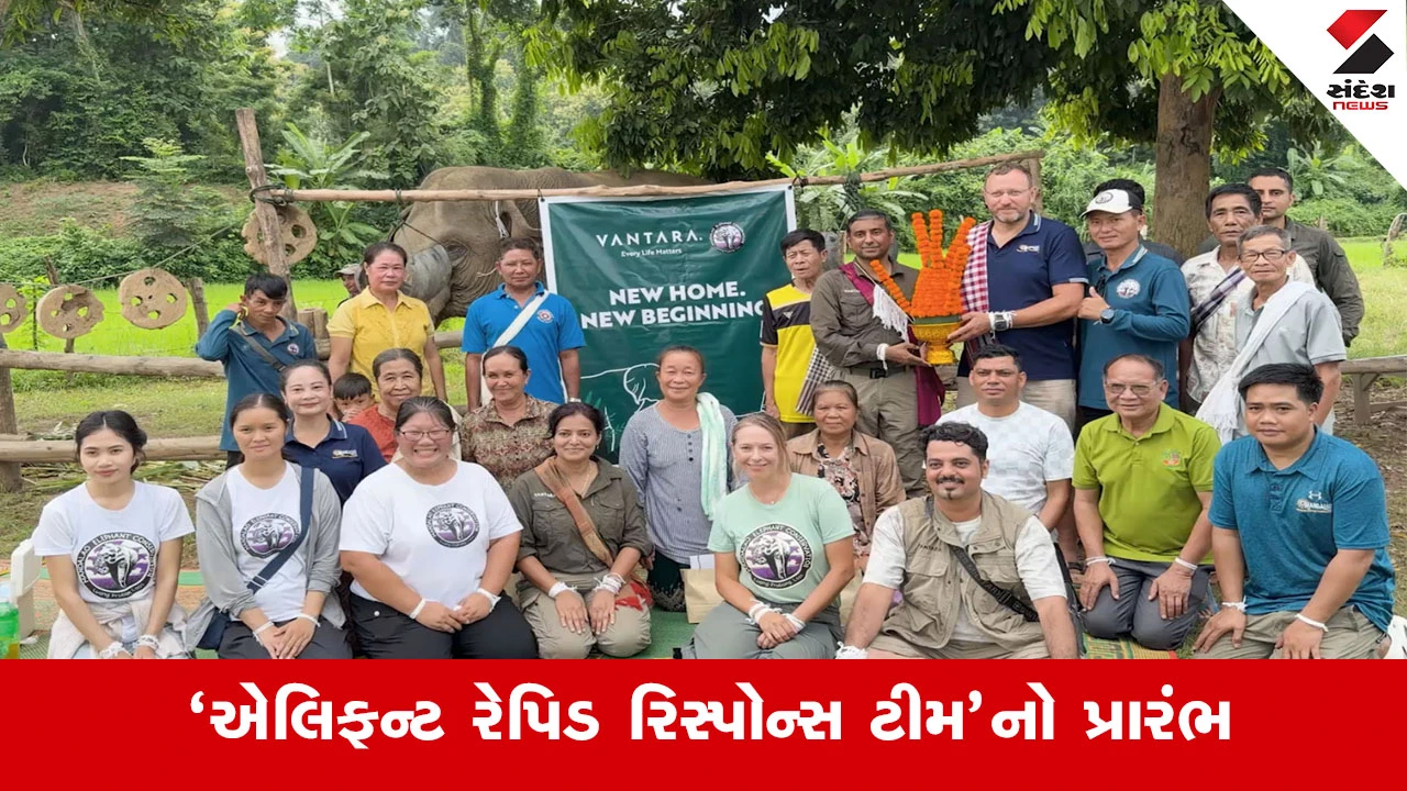 Vantara Mandalao MoU : ગુજરાતના વનતારાનો વિદેશમાં ડંકો, લાઓસના જંગલી અને પાલતુ હાથીઓની મફત સારવાર કરશે તબીબી ટીમ