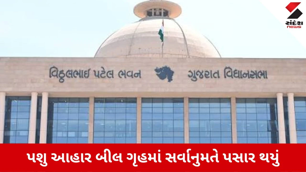 Gujarat Assembly: પશુ આહાર બીલ સર્વાનુમતે પસાર, અધ્યક્ષ શંકર ચૌધરીએ રચ્યો ઇતિહાસ