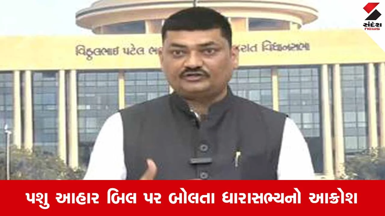 Gujarat વિધાનસભામાં તંત્રની ઢીલી નીતિ પર પ્રહાર: 'ધારાસભ્યની આ સ્થિતિ, તો જનતાનું શું?' ઉમેશ મકવાણા