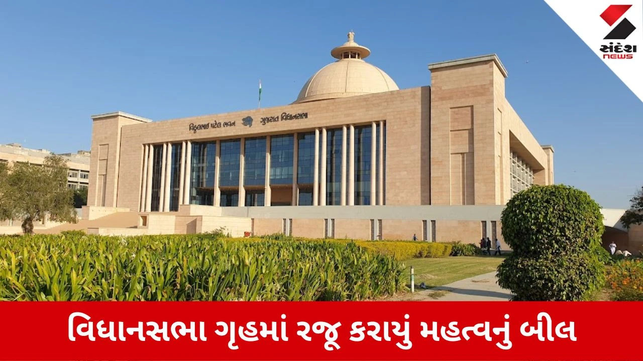 Gujarat Assembly: પશુ આહારમાં ભેળસેળ કરનારા સામે થશે કડક કાર્યવાહી, જાણો નવા બિલમાં શું છે જોગવાઈ?