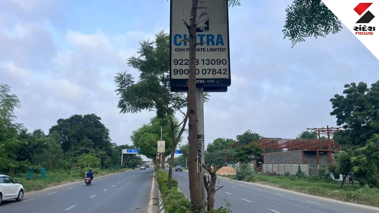 Ahmedabad Chitra Ad Agency Tree Cutting Complaint