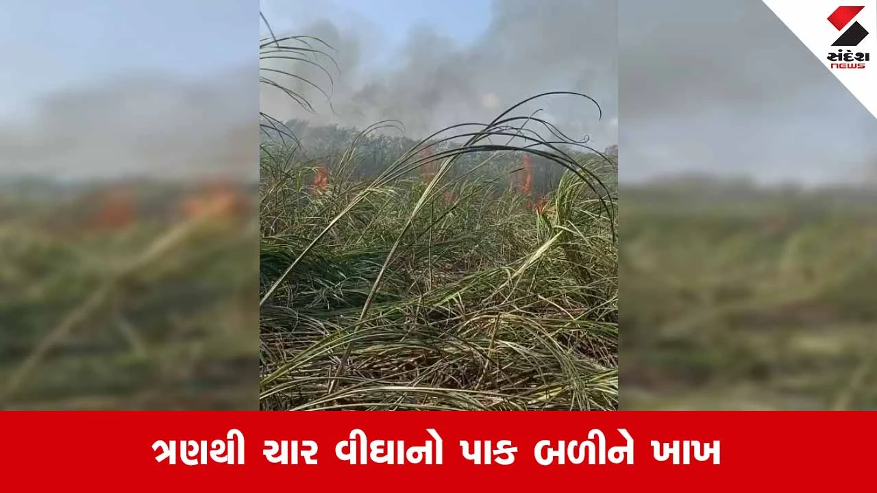 Kodinarના રાજપરામાં ખેડૂતના શેરડીના ખેતરમાં લાગી ભીષણ આગ