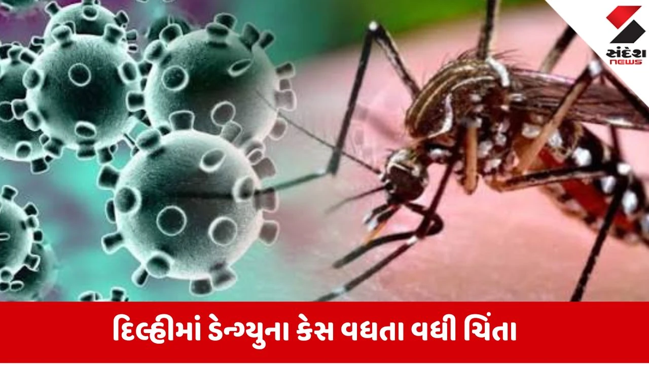 Indiaમાં ખતરનાક રોગચાળો ફેલાવવાનું મોટું જોખમ! ડેન્ગ્યુના વધતા કેસ વચ્ચે WHOએ આપી ચેતવણી