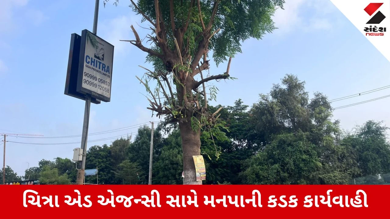 Ahmedabad : મંજૂરી વગર ઝાડ કાપવાનો ખેલ ભારે પડ્યો, ચિત્રા એડ એજન્સી સામે સરખેજ પોલીસમાં ફરિયાદ