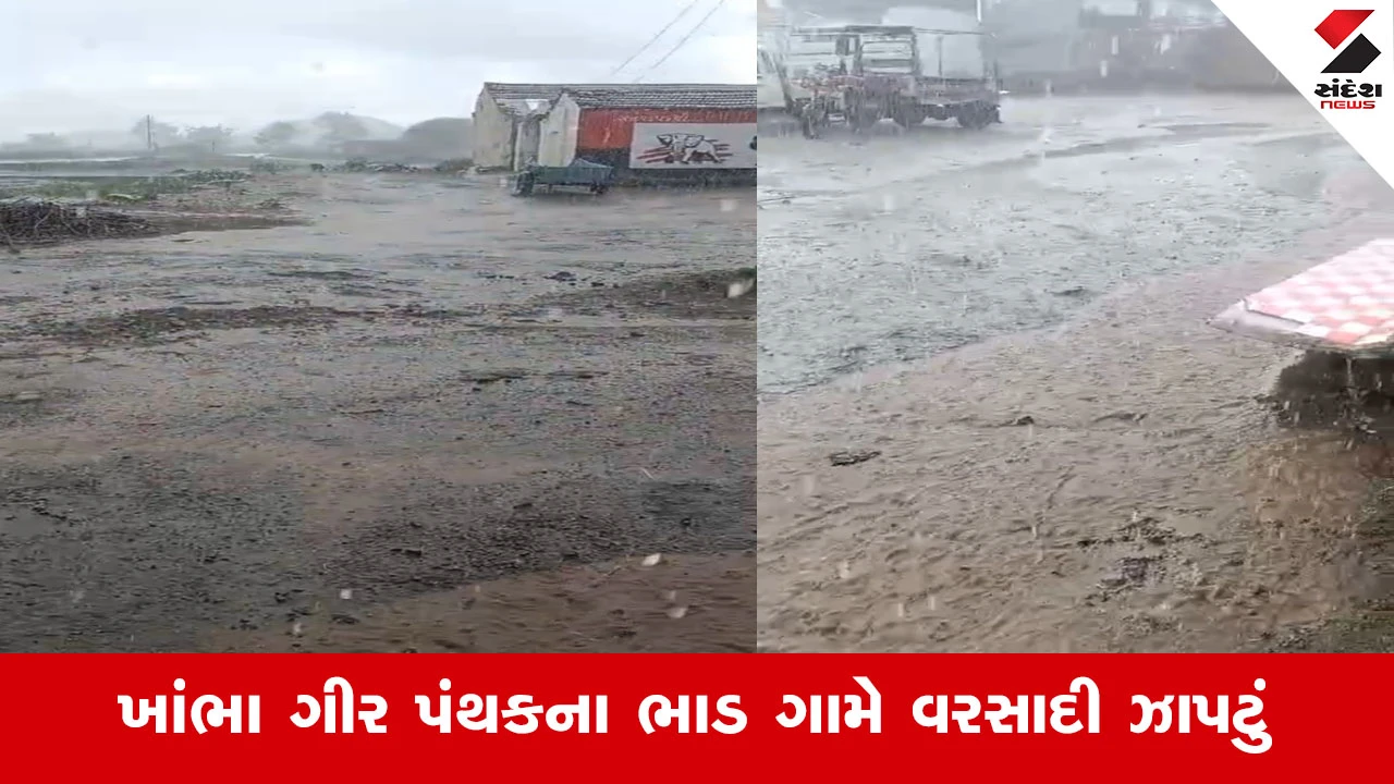 Amreliના ખાંભા ગીર પંથકમાં મેઘરાજાનું આગમન, ભાડ ગામે વરસાદી ઝાપટાથી ખેડૂતોમાં આનંદ