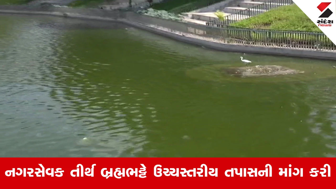 વડોદરાનું સુરસાગર તળાવ 'ડેથ ટ્રેપ' બન્યું