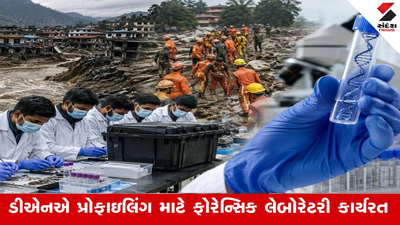 Gandhinagar News: નેપાળ પૂર દુર્ઘટનામાં ગુમ થયેલા ગુજરાતીઓની ઓળખ માટે DNA સેમ્પલિંગ પ્રક્રિયા પૂર્ણતાના આરે