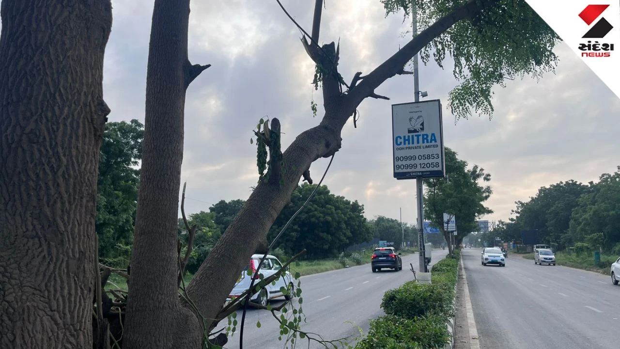 Ahmedabad Chitra Ad Agency Tree Cutting Complaint