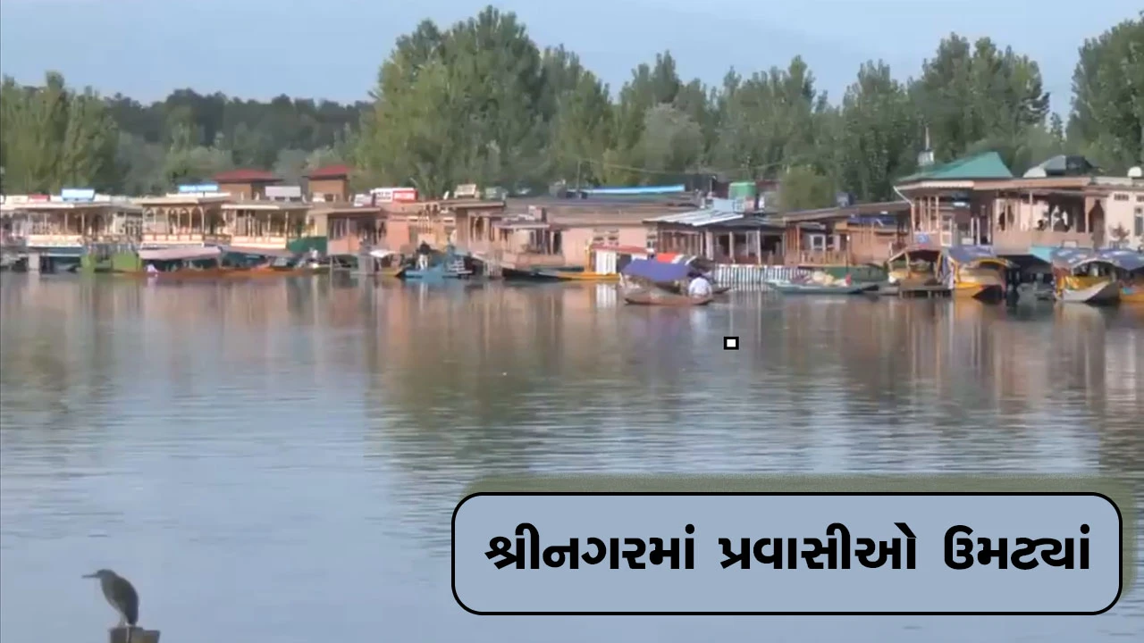 શ્રીનગરમાં કુદરત સોળ કળાએ ખીલી ઉઠી