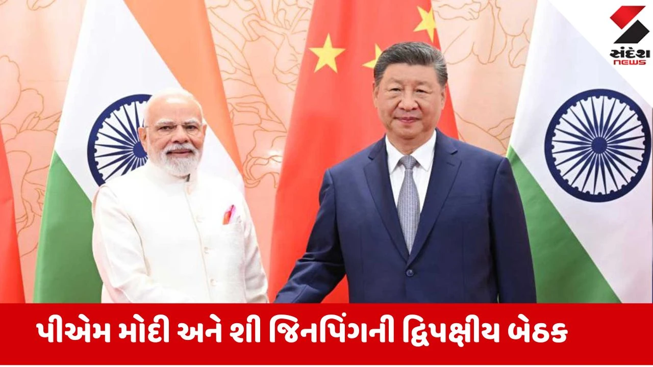 BRICS Summit 2026 Delhi Live: ભારત સાથે મળીને કામ કરવાની શી જિનપિંગની અપીલ