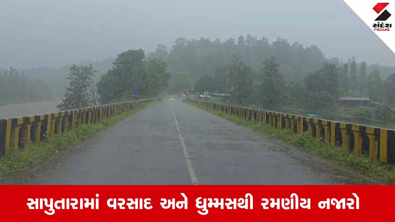 Gujarat Rain: હવામાન વિભાગની આગાહી વચ્ચે ડાંગમાં સાર્વત્રિક વરસાદ, સુબીરમાં નોંધાયો 44 મિમી વરસાદ