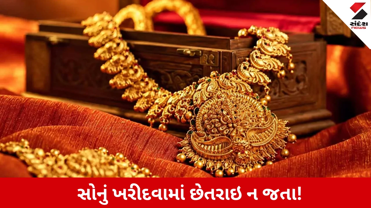 BIS Gold Raid: હોલમાર્ક વગરનું 804 ગ્રામ સોનું જપ્ત, શું તમે પણ નકલી સોનું ખરીદી લીધું?