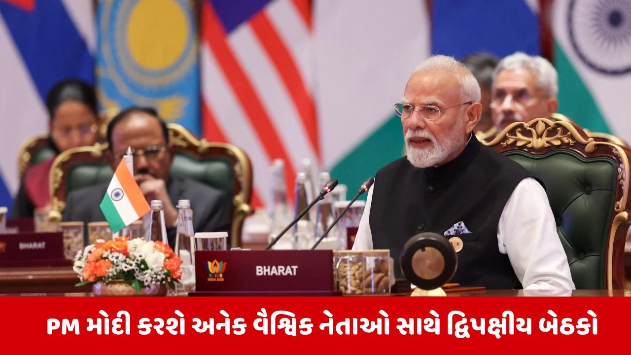BRICS Summit 2026 Live: બ્રિક્સ સમિટનો આજે બીજો દિવસ,  PM મોદી કરશે મહત્વની દ્વિપક્ષીય બેઠકો, જાણો શેડ્યુઅલ