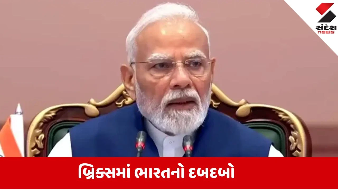 BRICS સમિટમાં PM મોદીનો વિવિધતા પર ભાર