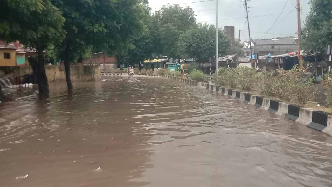 Heavy rain with thunder in Petlad
