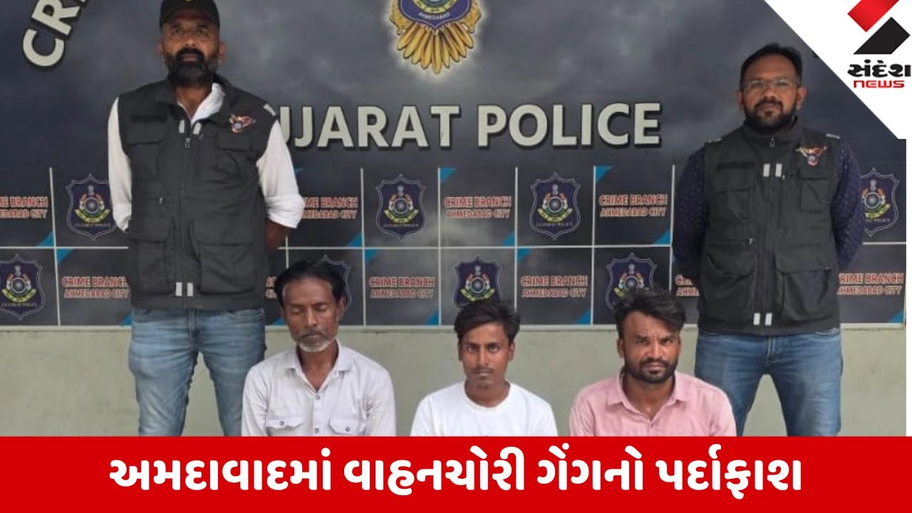 Ahmedabad: નારોલ અને દાણીલીમડામાંથી ચોરાયેલી રિક્ષાઓ સાથે 3 શાતિર ચોર ઝડપાયા; 2.10 લાખનો મુદ્દામાલ જપ્ત