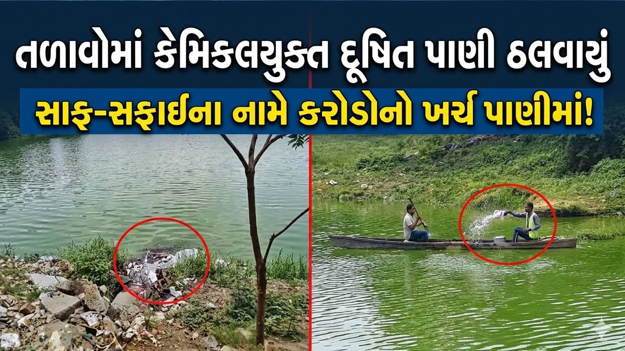 Ahmedabad News : શહેરના મોટાભાગના તળાવોમાં ગંદકી વધી, 5 વર્ષમાં સફાઈ પાછળ 70 કરોડનો ખર્ચ