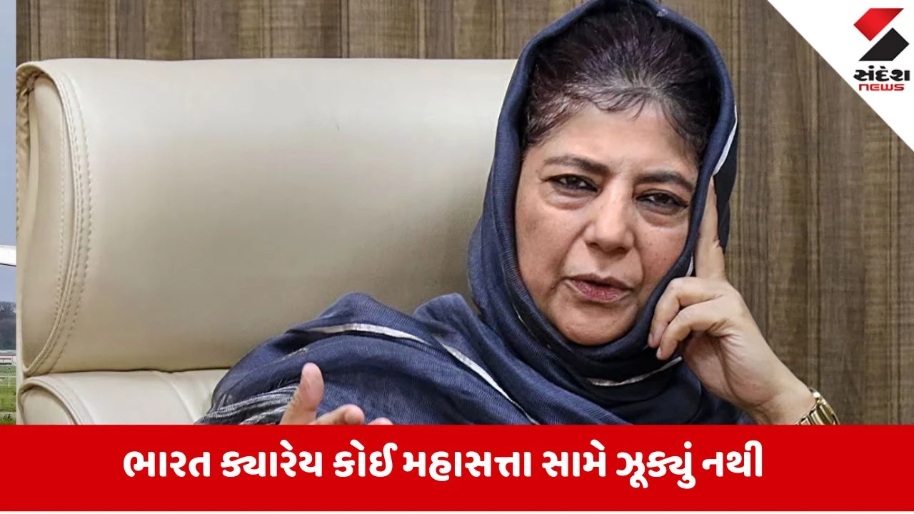 Pahalgam આતંકી હુમલાની નિંદા સારી વાત પણ... BRICS પર મહેબૂબા મુફ્તીનું નિવેદન