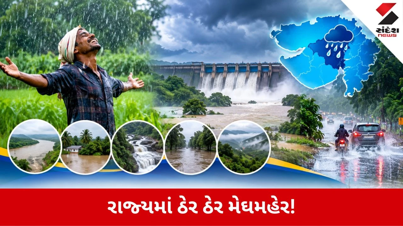 Gujarat Rain Update: 24 કલાકમાં 193 તાલુકામાં વરસાદ, જાણો તમારા વિસ્તારમાં કેટલો?