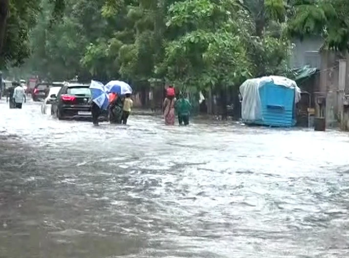 વરસાદથી હાલાકી