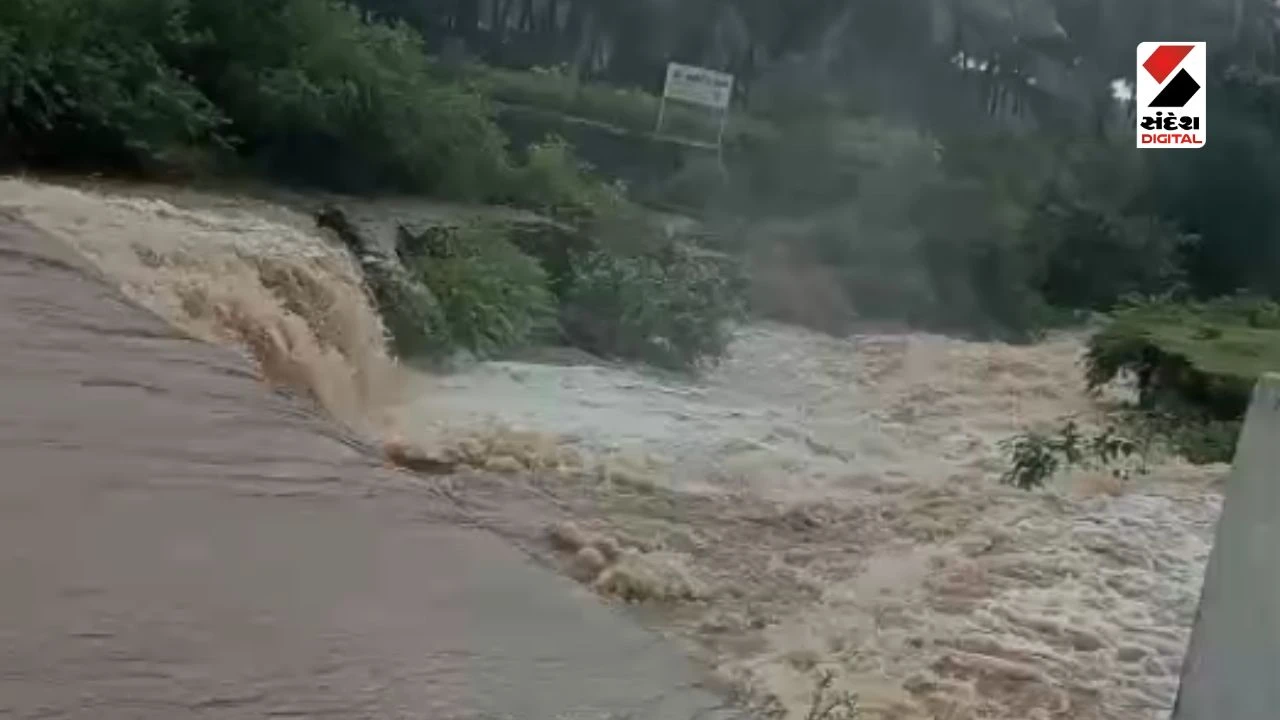Gir Somnath Rain Update: Heavy Rainfall in Talala and Sasan Gir, Rivers Overflow