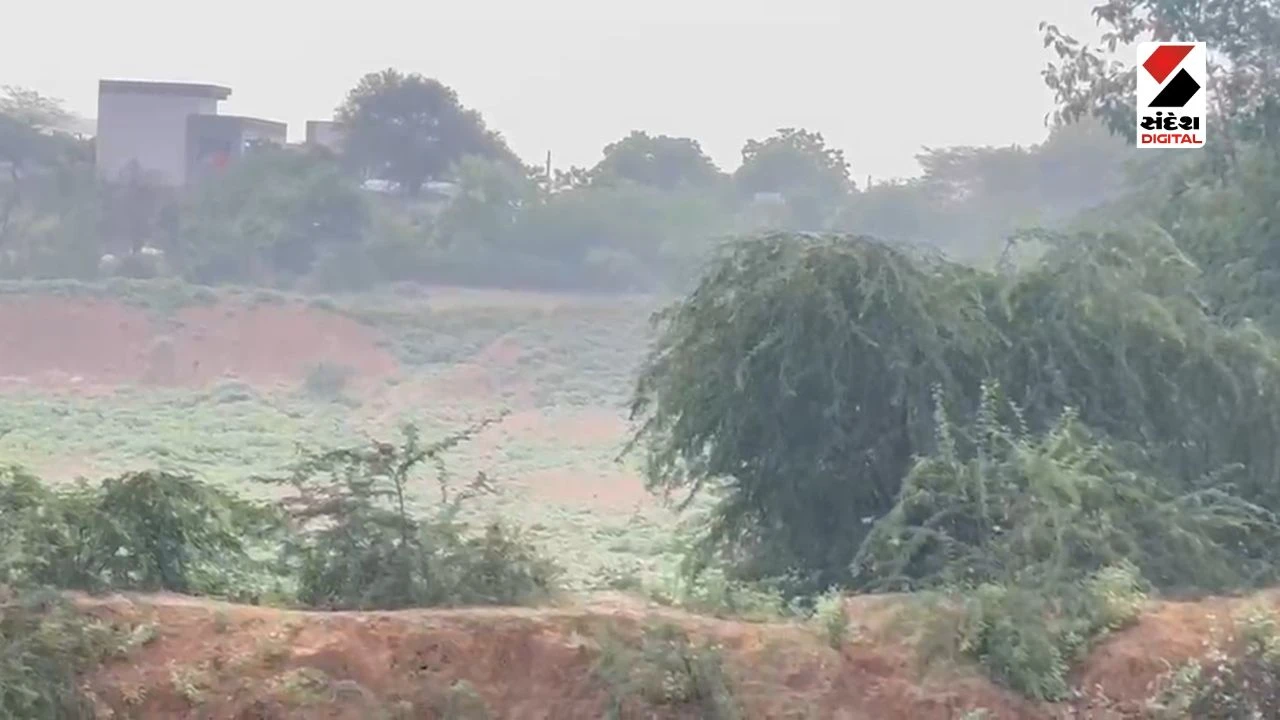 Vav-Tharad Rain Update: Heavy Rainfall After 45 Days Brings Relief to Farmers
