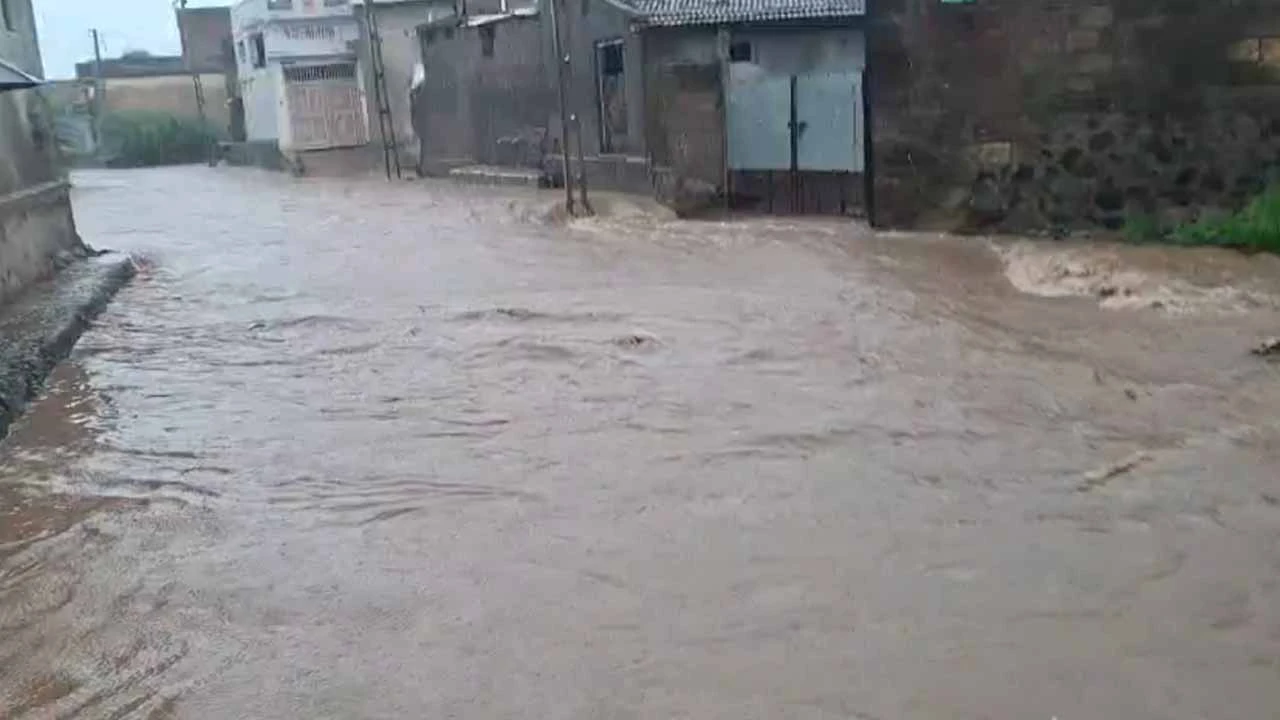 Farmers happy with rain in Amreli