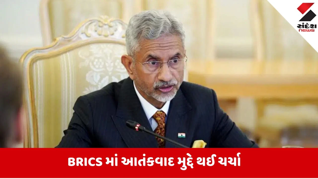 BRICS દેશોએ પહલગામ હુમલાની કરી નિંદા, વિદેશ મંત્રી એસ. જયશંકરે શું કહ્યું?