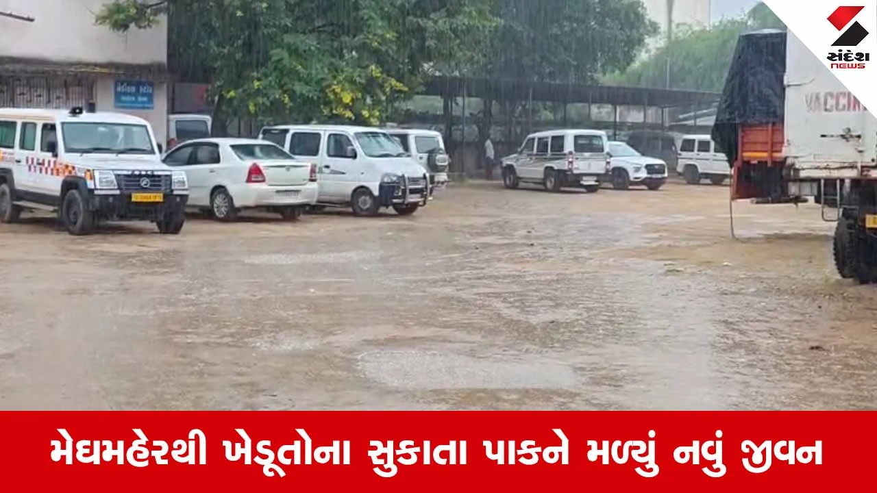 Banaskantha Rain Update: પાલનપુર અને ડીસા પંથકમાં લાંબા વિરામ બાદ મેઘમહેર