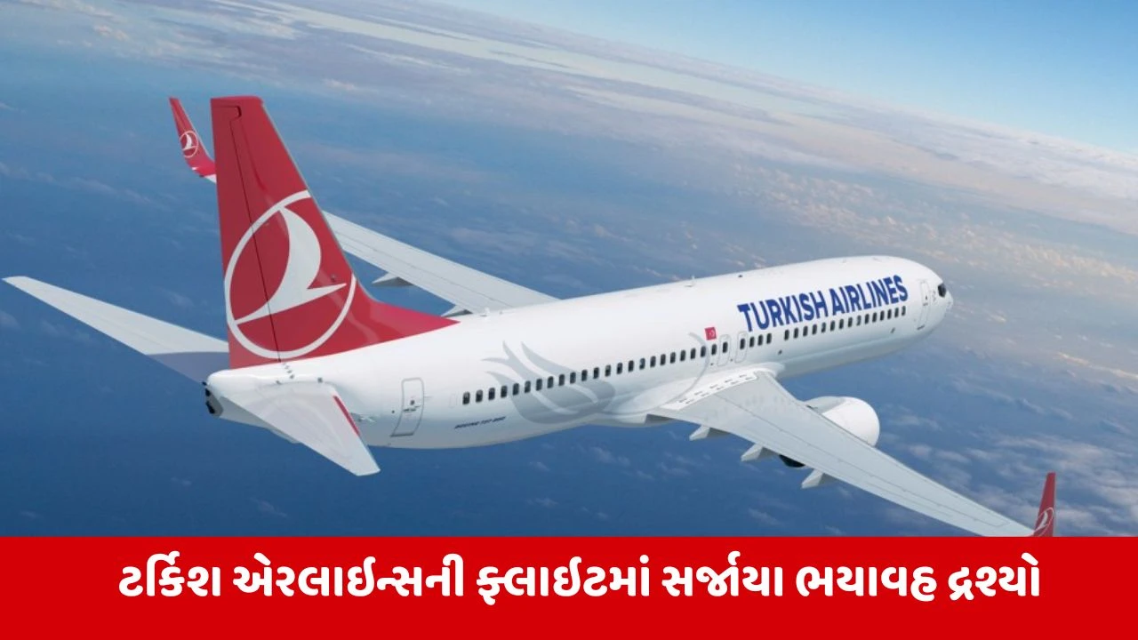 તુર્કી એરલાઇન્સ વિમાન અચાનક ધ્રુજ્યું, મુસાફરોએ મચાવી ચીસાચીસ, વીડિયો વાયરલ