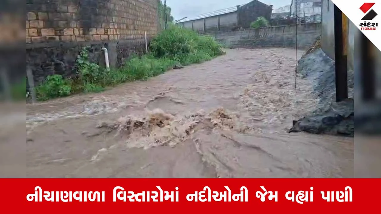 Amreli Rain Update: ગ્રામ્ય પંથકમાં ધોધમાર વરસાદ, નાના ભંડારીયામાં શેરીઓ બની પાણીના વહેણ!