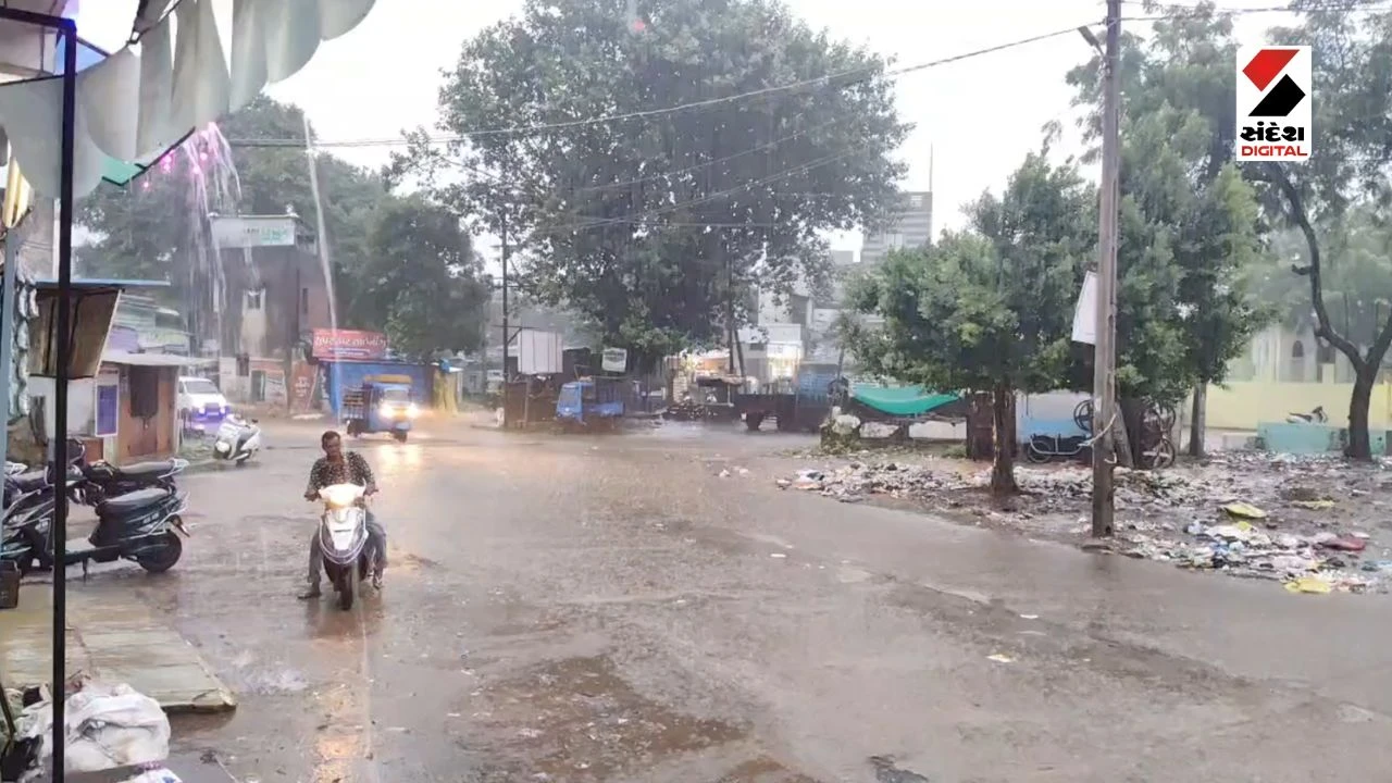 Anand Rain Update: Rain in Anand District, Waterlogging in Borsad & Petlad, Huge Relief for Farmers in Tarapur