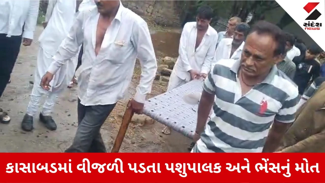 Porbandar News: કુતિયાણામાં આકાશી આફત, કાસાબડ ગામે વીજળી પડતાં પશુપાલક અને ભેંસનું મોત