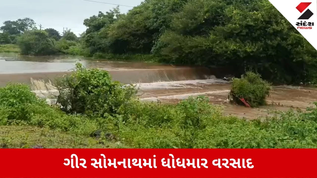Gir Somnath Rain Update: ગીરના જંગલમાં મુસળધાર વરસાદ, આંબાકોઈ નદીમાં ચોમાસાનું પ્રથમ પૂર આવ્યું