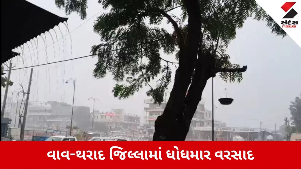 Vav-Tharad Rain Update: 45 દિવસના લાંબા વિરામ બાદ ધોધમાર વરસાદ, મગફળી અને બાજરીના પાકને મળ્યું જીવનદાન