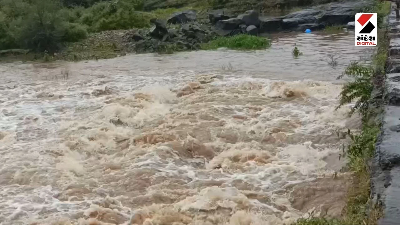 Gir Somnath Rain Update: Heavy Rainfall in Talala and Sasan Gir, Rivers Overflow
