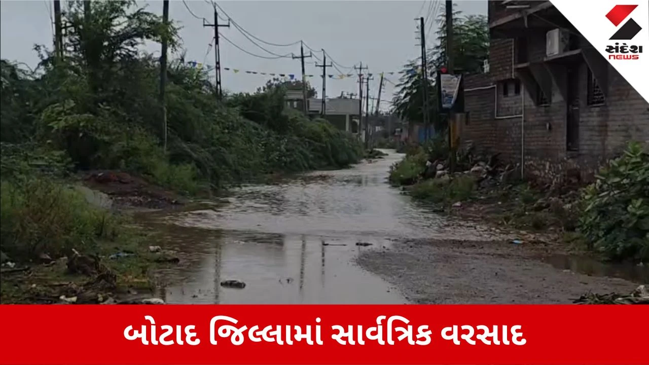 Botad Rain Update: સતત ત્રીજા દિવસે સાર્વત્રિક ધીમી ધારે વરસાદ, કપાસ અને મગફળીના પાકને મળ્યું જીવતદાન