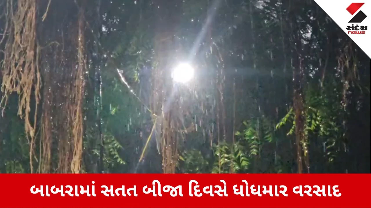 Amreli Rain Update: બાબરા પંથકમાં સતત બીજા દિવસે મેઘમહેર, ધોધમાર વરસાદથી રસ્તા જળમગ્ન