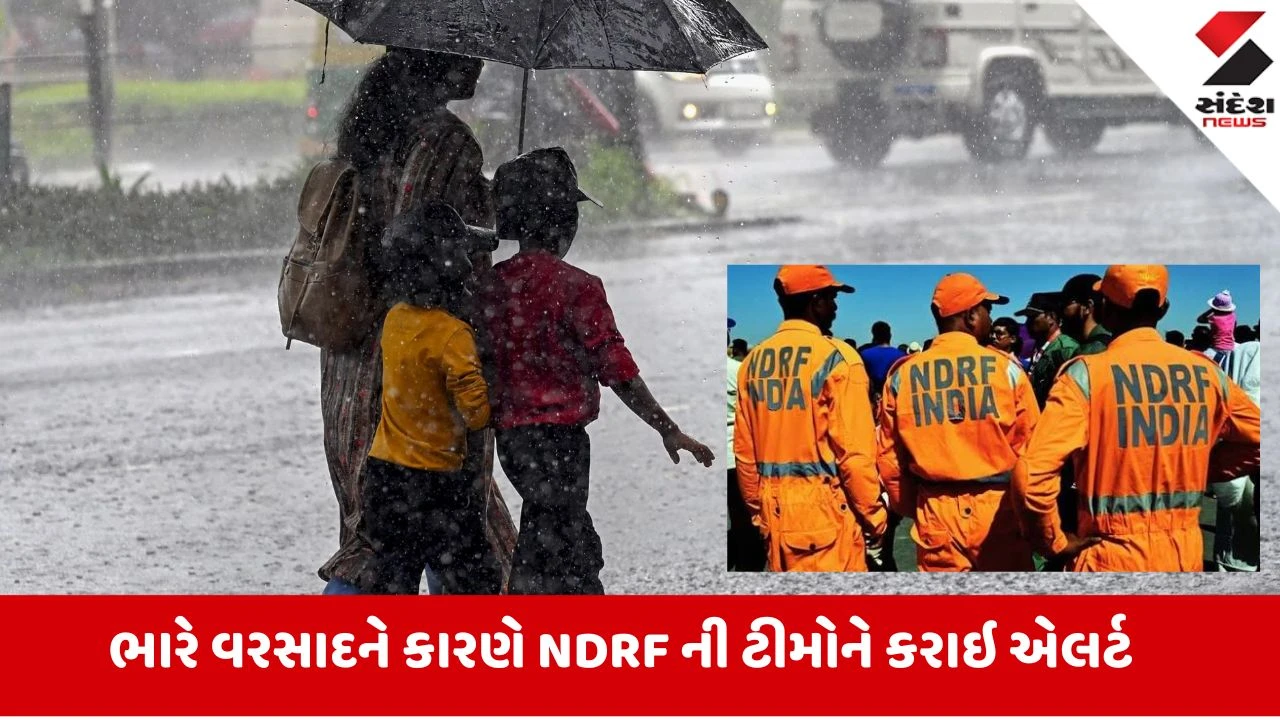 ભારે વરસાદની આગાહી: NDRF-SDRF ની ટીમોને ગુજરાતમાં સ્ટેન્ડબાય રાખવામાં આવી