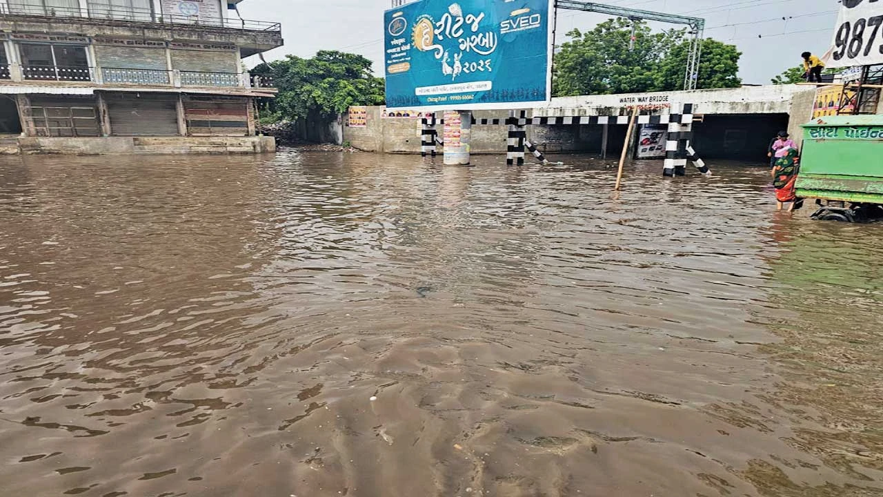 પાટણ જિલ્લામાં ભાદરવા માસના પ્રારંભે મેઘરાજાની મહેર