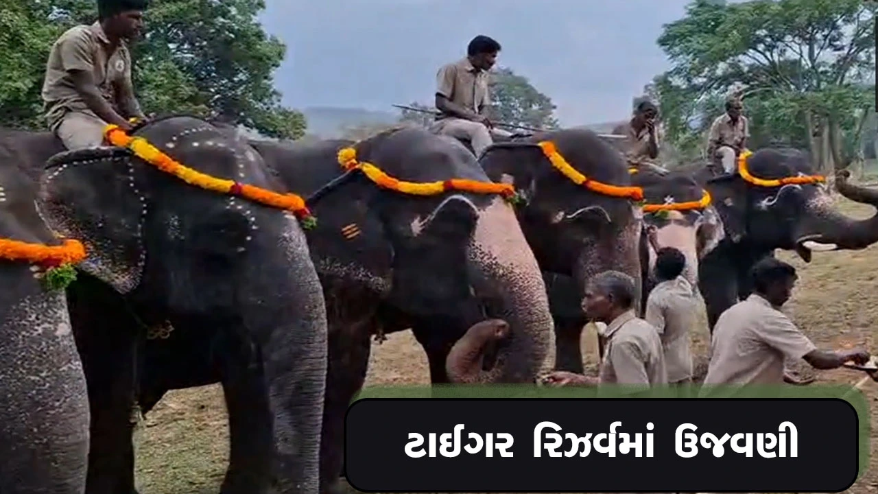 થેપ્પાકાડુ હાથી કેમ્પ ખાતે વિનાયક ચતુર્થીની ભવ્ય ઉજવણી