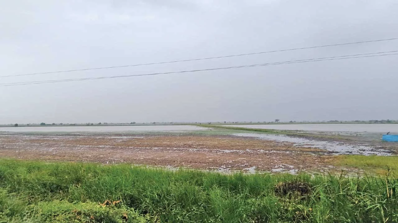 પાટણના શંખેશ્વર તાલુકામાં મેઘરાજાની આગેકૂચ