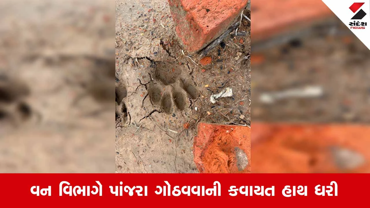 Sanand-મોટી દેવતી બાયપાસ પર દીપડો દેખાયાની આશંકા: વન વિભાગની તપાસ શરૂ